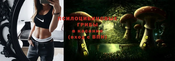 2c-b Гусь-Хрустальный