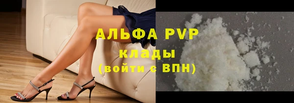 ГАЛЛЮЦИНОГЕННЫЕ ГРИБЫ Гусев