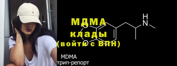 ГАЛЛЮЦИНОГЕННЫЕ ГРИБЫ Гусев