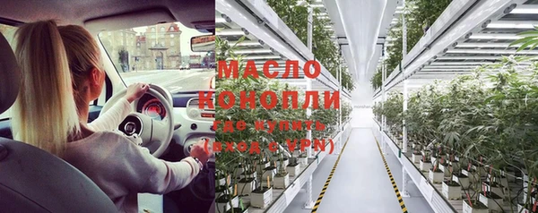 ГАЛЛЮЦИНОГЕННЫЕ ГРИБЫ Гусев