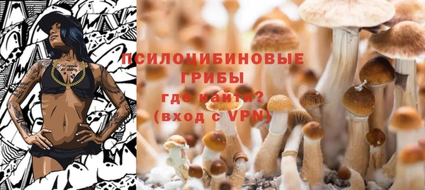 2c-b Гусь-Хрустальный