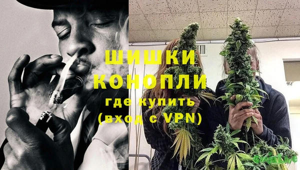 ГАЛЛЮЦИНОГЕННЫЕ ГРИБЫ Гусев
