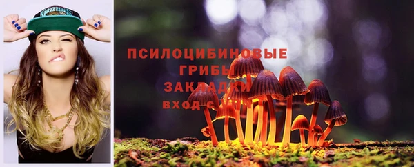 ГАЛЛЮЦИНОГЕННЫЕ ГРИБЫ Гусев