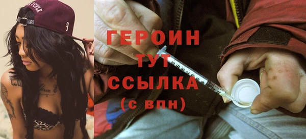 ГАЛЛЮЦИНОГЕННЫЕ ГРИБЫ Гусев